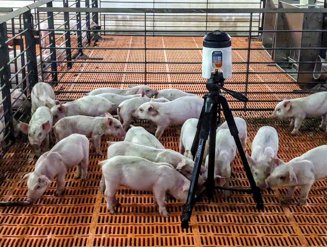 Capturing Airborne Swine and Avian Influenza Viruses