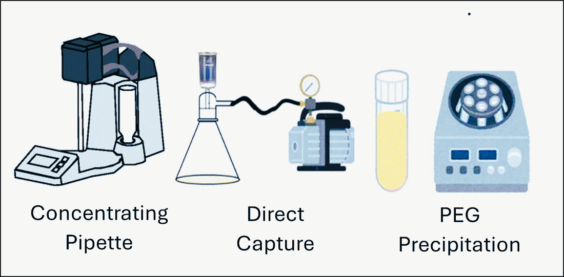 Optimization and Comparison Performance Evaluation of the Concentrating Pipette™  for the Recovery of Viruses in Wastewater